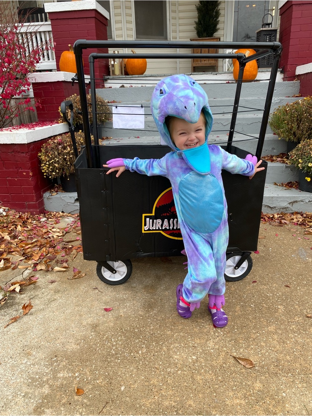 Pottery Barn Kids Purple and Blue Plush Dinosaur Costume with headpiece